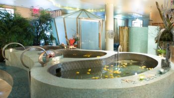 Lounge in the Japanese Style soaking tubs laden with Sake, Ginseng, Seaweed, all natural Noni, Neem & Tea Three or any of our other specialty soaks.